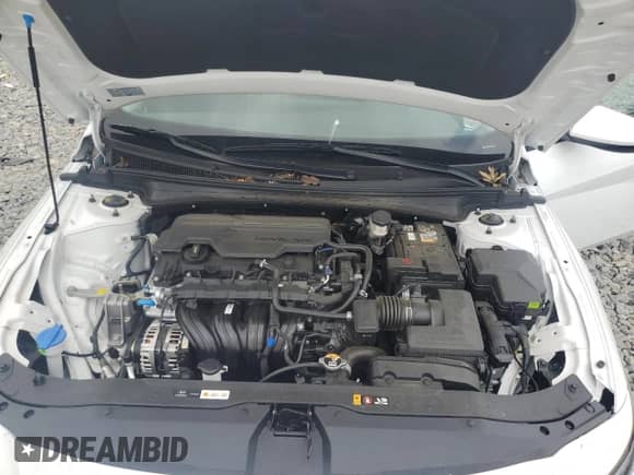 2025 Hyundai Elantra SE с VIN KMHLL4DG9SU974411, выставлен на аукционе Copart как лот 69435205 с пробегом 5 897 миль миль и Списание • Salvage title. История ставок и продаж доступна на DreamBid. Изображение 11.