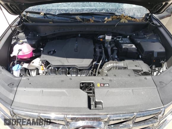 ✅ 2024 Hyundai Tucson Limited • VIN: 5NMJE3DE9RH397248 • Lot: 68812644. Wystawiony na Copart z przebiegiem 1 517 mil. Bezpłatny archiwum sprzedaży aukcyjnych z USA i szczegółowy raport historii pojazdu na DreamBid. Zdjęcie 13.