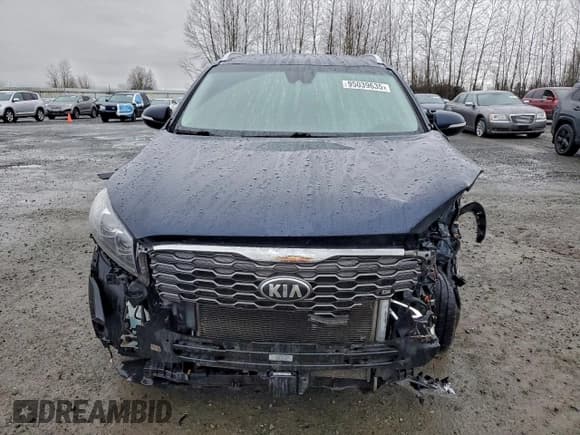 ✅ 2019 Kia Sorento EX • VIN: 5XYPHDA59KG447545 • Lot: 95039635. Wystawiony na Copart z przebiegiem 134 830 mil. Bezpłatny archiwum sprzedaży aukcyjnych z USA i szczegółowy raport historii pojazdu na DreamBid. Zdjęcie 5.