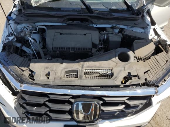 ✅ 2023 Honda Pilot EX-L • VIN: 5FNYG2H43PB000183 • Lot: 69616455. Wystawiony na Copart z przebiegiem Nie podano. Bezpłatny archiwum sprzedaży aukcyjnych z USA i szczegółowy raport historii pojazdu na DreamBid. Zdjęcie 12.