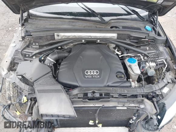 ✅ 2014 Audi Q5 Premium Plus • VIN: WA1CMAFP6EA100210 • Lot: 42347481. Listed on IAAI with 115,117 mi. Free auction sales archive from the USA and detailed vehicle history report at DreamBid. Image 10.