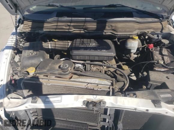 ✅ 2003 Dodge 1500 ST • VIN: 1D7HA18N03S300206 • Лот: 73208514. Опубликован ранее на Copart с пробегом 138 036 миль. Бесплатный доступ к архиву аукционных продаж из США и подробный отчёт об истории автомобиля на DreamBid. Изображение 11.