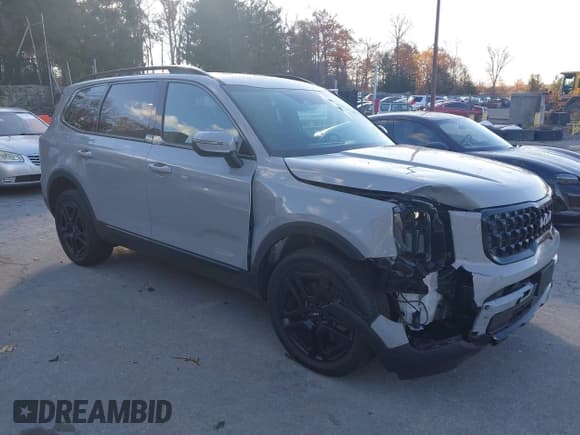 ✅ 2024 Kia Telluride EX X-Line • VIN: 5XYP3DGC2RG559666 • Lot: 43541569. Wystawiony na IAAI z przebiegiem 13 222 mil. Bezpłatny archiwum sprzedaży aukcyjnych z USA i szczegółowy raport historii pojazdu na DreamBid. Zdjęcie 1.