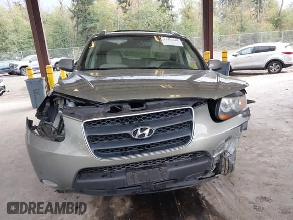 ✅ 2008 Hyundai Santa Fe SE • VIN: 5NMSH73E48H170293 • Lot: 43422685. Wystawiony na IAAI z przebiegiem 195 842 mil. Bezpłatny archiwum sprzedaży aukcyjnych z USA i szczegółowy raport historii pojazdu na DreamBid. Zdjęcie 13.