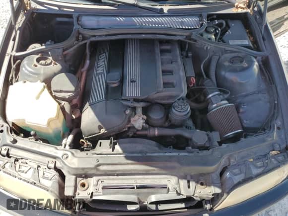 1999 BMW 3 Series 323i with VIN WBAAM3331XKC60647, listed as a Copart auction lot 53051525 with Not provided miles and Clean title. Bid and sale history available at DreamBid. Image 11.