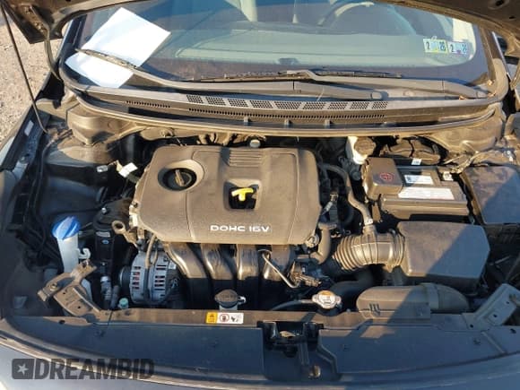 ✅ 2017 Kia Forte LX • VIN: 3KPFL4A72HE055864 • Lot: 43004784. Wystawiony na IAAI z przebiegiem Nie podano. Bezpłatny archiwum sprzedaży aukcyjnych z USA i szczegółowy raport historii pojazdu na DreamBid. Zdjęcie 10.