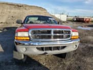✅ 1999 Dodge Dakota SLT • VIN: 1B7GG22Y3XS197835 • Lot: 80467304. Wystawiony na Copart z przebiegiem 102 463 mil. Bezpłatny archiwum sprzedaży aukcyjnych z USA i szczegółowy raport historii pojazdu na DreamBid. Zdjęcie 5.