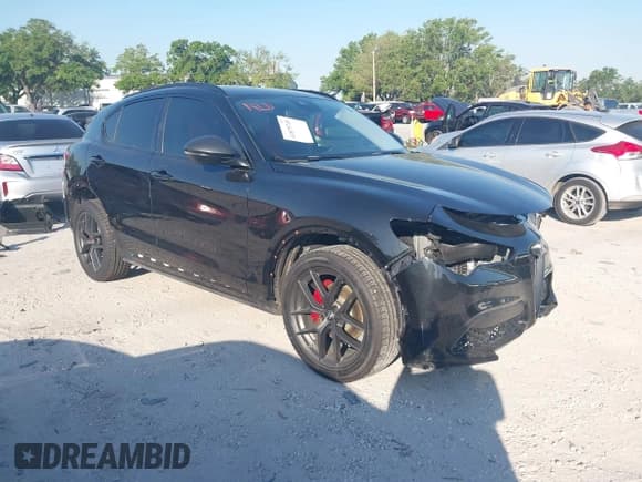 ✅ 2020 Alfa Romeo Stelvio • VIN: ZASPAJAN5L7C86099 • Lot: 41875749. Listed on IAAI with 56,229 mi. Free auction sales archive from the USA and detailed vehicle history report at DreamBid. Image 1.