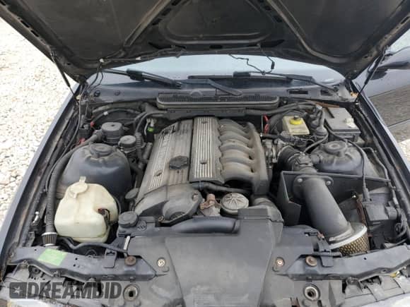 1998 BMW 3 Series M3s with VIN WBSCD9320WEE09027, listed as a Copart auction lot 52202055 with 244,452 mi miles and Clean title. Bid and sale history available at DreamBid. Image 11.