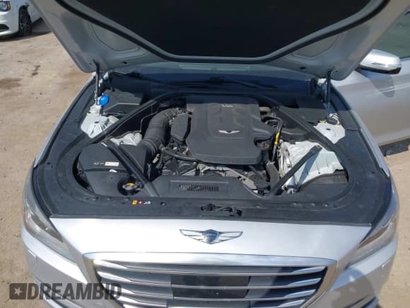 ✅ 2017 Genesis G80 3.8L • VIN: KMHGN4JE5HU192243 • Lot: 43204961. Listed on IAAI with 88,904 mi. Free auction sales archive from the USA and detailed vehicle history report at DreamBid. Image 10.