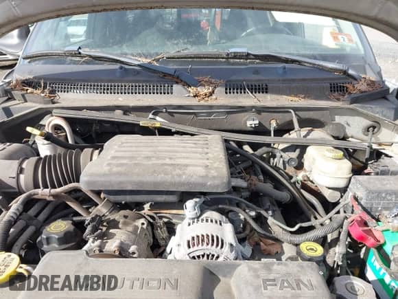 2003 Dodge Dakota Sport with VIN 1D7HG32N43S138938, listed as a IAAI auction lot 43610418 with 112,101 mi miles and . Bid and sale history available at DreamBid. Image 10.