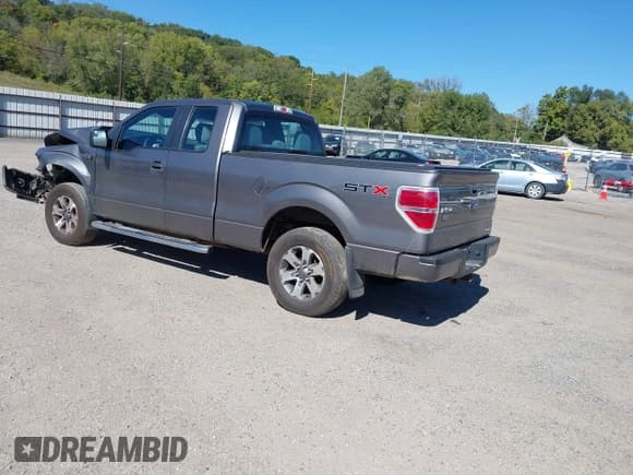 ✅ 2013 Ford F-150 XLT • VIN: 1FTFX1EF3DFB10097 • Лот: 43395663. Опубликован ранее на IAAI с пробегом 158 860 миль. Бесплатный доступ к архиву аукционных продаж из США и подробный отчёт об истории автомобиля на DreamBid. Изображение 3.