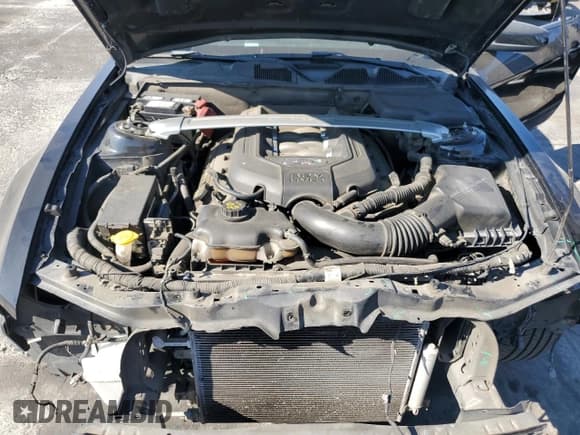 ✅ 2014 Ford Mustang GT • VIN: 1ZVBP8FF4E5321853 • Лот: 81061165. Опубликован ранее на Copart с пробегом 141 082 миль. Бесплатный доступ к архиву аукционных продаж из США и подробный отчёт об истории автомобиля на DreamBid. Изображение 11.