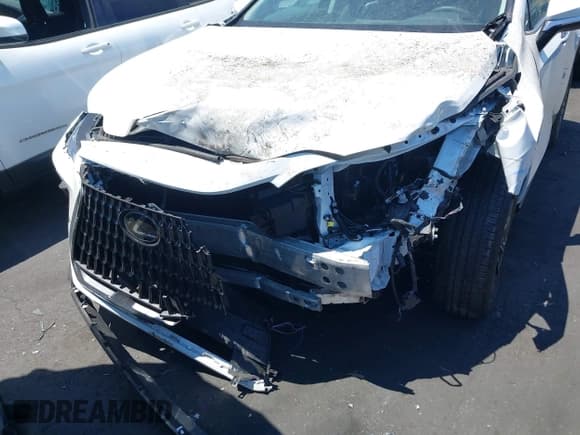 ✅ 2025 Lexus NX 250 • VIN: 2T2ADCAZ1SC025730 • Lot: 42605987. Wystawiony na IAAI z przebiegiem 697 mil. Bezpłatny archiwum sprzedaży aukcyjnych z USA i szczegółowy raport historii pojazdu na DreamBid. Zdjęcie 13.