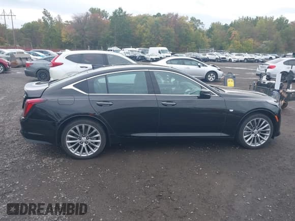 ✅ 2022 Cadillac CT5 Premium Luxury • VIN: 1G6DT5RK5N0119117 • Lot: 43400100. Listed on IAAI with 28,024 mi. Free auction sales archive from the USA and detailed vehicle history report at DreamBid. Image 13.