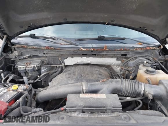 ✅ 2011 Ford F-150 XLT • VIN: 1FTFW1ET1BFA67773 • Лот: 43752424. Опубликован ранее на IAAI с пробегом 194 475 миль. Бесплатный доступ к архиву аукционных продаж из США и подробный отчёт об истории автомобиля на DreamBid. Изображение 10.