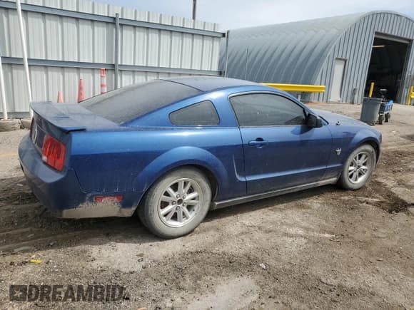 ✅ 2009 Ford Mustang • VIN: 1ZVHT80N395127410 • Lot: 53974835. Wystawiony na Copart z przebiegiem 146 356 mil. Bezpłatny archiwum sprzedaży aukcyjnych z USA i szczegółowy raport historii pojazdu na DreamBid. Zdjęcie 3.