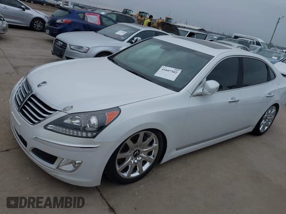 ✅ 2013 Hyundai Equus Signature • VIN: KMHGH4JH1DU063881 • Lot: 41607502. Listed on IAAI with 96,123 mi. Free auction sales archive from the USA and detailed vehicle history report at DreamBid. Image 2.