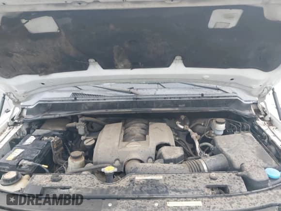 ✅ 2005 Nissan Titan SE • VIN: 1N6AA07B15N521468 • Lot: 43758534. Listed on IAAI with Not provided. Free auction sales archive from the USA and detailed vehicle history report at DreamBid. Image 10.