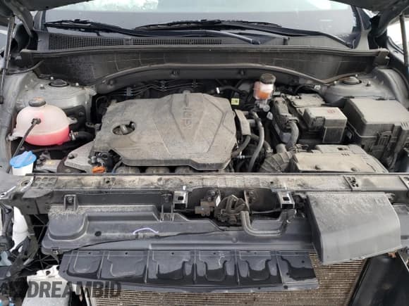 ✅ 2021 Hyundai Santa Fe SEL • VIN: 5NMS2DAJ6MH346660 • Lot: 42567684. Wystawiony na Copart z przebiegiem 46 512 mil. Bezpłatny archiwum sprzedaży aukcyjnych z USA i szczegółowy raport historii pojazdu na DreamBid. Zdjęcie 11.