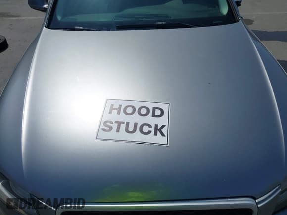 ✅ 2009 Audi A4 Premium • VIN: WAULF78K29N038305 • Лот: 42506472. Опубликован ранее на IAAI с пробегом 187 900 миль. Бесплатный доступ к архиву аукционных продаж из США и подробный отчёт об истории автомобиля на DreamBid. Изображение 10.