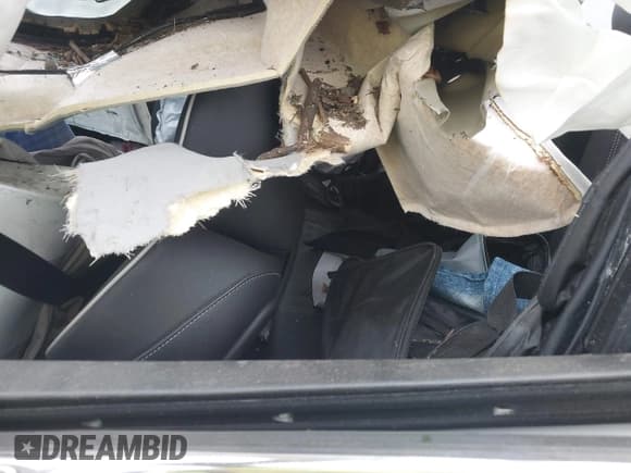 ✅ 2018 Acura TLX Technology • VIN: 19UUB2F56JA005629 • Lot: 43613424. Listed on IAAI with Not provided. Free auction sales archive from the USA and detailed vehicle history report at DreamBid. Image 8.