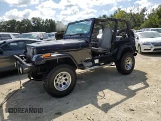 ✅ 1995 Jeep Wrangler • VIN: 1J4FY29SXSP230216 • Лот: 77257834. Опубликован ранее на Copart с пробегом 144 217 миль. Бесплатный доступ к архиву аукционных продаж из США и подробный отчёт об истории автомобиля на DreamBid. Изображение 1.