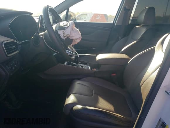 ✅ 2019 Hyundai Santa Fe Ultimate • VIN: 5NMS5CAA4KH018281 • Lot: 48206413. Wystawiony na Copart z przebiegiem 48 999 mil. Bezpłatny archiwum sprzedaży aukcyjnych z USA i szczegółowy raport historii pojazdu na DreamBid. Zdjęcie 7.