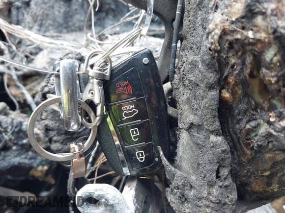 ✅ 2018 Hyundai Santa Fe 2.4L • VIN: 5NMZUDLB3JH059478 • Лот: 42595033. Опубликован ранее на IAAI с пробегом Не указан. Бесплатный доступ к архиву аукционных продаж из США и подробный отчёт об истории автомобиля на DreamBid. Изображение 11.