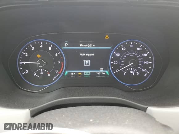 2020 Hyundai Palisade SEL with VIN KM8R3DHE5LU157215, listed as a Copart auction lot 66818874 with 76,317 mi miles and Salvage title. Bid and sale history available at DreamBid. Image 9.