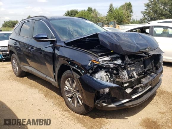 ✅ 2024 Hyundai Tucson Blue • VIN: KM8JBCD14RU210184 • Lot: 67270524. Listed on Copart with 5,463 mi. Free auction sales archive from the USA and detailed vehicle history report at DreamBid. Image 4.