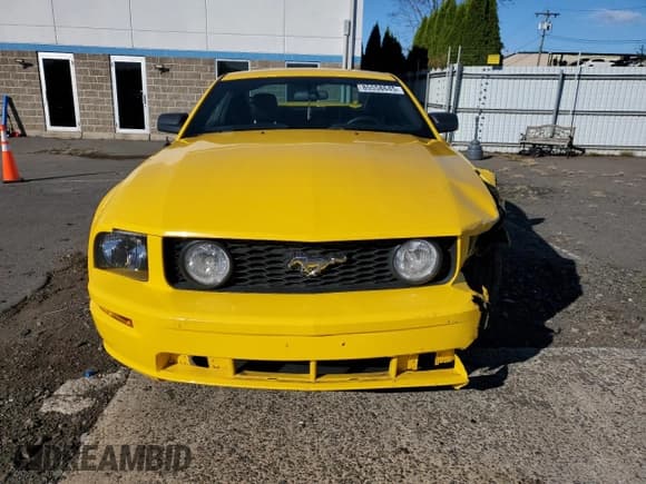 ✅ 2006 Ford Mustang GT Deluxe • VIN: 1ZVHT82H065248026 • Lot: 85558645. Wystawiony na Copart z przebiegiem 96 738 mil. Bezpłatny archiwum sprzedaży aukcyjnych z USA i szczegółowy raport historii pojazdu na DreamBid. Zdjęcie 5.