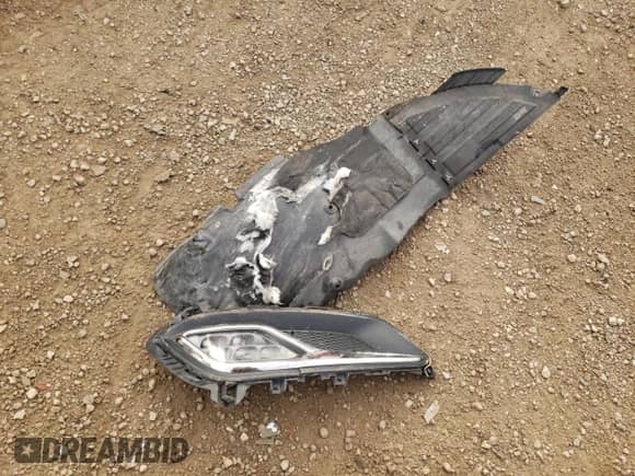 2017 Hyundai Azera Limited with VIN KMHFH4JG1HA589566, listed as a Copart auction lot 77469164 with 50,025 mi miles and Salvage title. Bid and sale history available at DreamBid. Image 12.