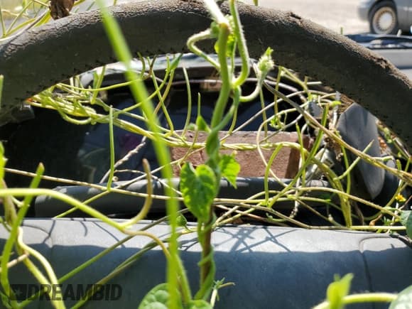 ✅ 1990 Lexus LS • VIN: JT8UF11E4L0025101 • Лот: 68632084. Опубликован ранее на Copart с пробегом Не указан. Бесплатный доступ к архиву аукционных продаж из США и подробный отчёт об истории автомобиля на DreamBid. Изображение 9.