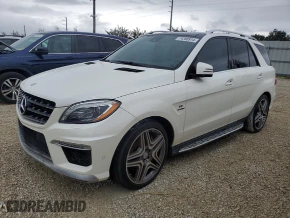 ✅ 2014 Mercedes-Benz M 63 AMG • VIN: 4JGDA7EB6EA268548 • Lot: 74288914. Wystawiony na Copart z przebiegiem Nie podano. Bezpłatny archiwum sprzedaży aukcyjnych z USA i szczegółowy raport historii pojazdu na DreamBid. Zdjęcie 1.