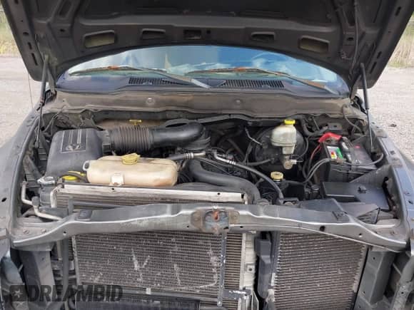 2002 Dodge 1500 ST z VIN 1D3HA18Z22J214386, wystawiony jako IAAI lot #42595976 z przebiegiem 410 608 mil mil oraz . Historia ofert i sprzedaży dostępna na DreamBid. Obrazek 10.