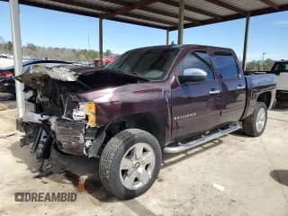 ✅ 2009 Chevrolet Silverado 1500 • VIN: 2GCEC330691105735 • Лот: 47586235. Опубликован ранее на Copart с пробегом 256 787 миль. Бесплатный доступ к архиву аукционных продаж из США и подробный отчёт об истории автомобиля на DreamBid. Изображение 1.