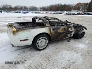 1992 Chevrolet Corvette with VIN 1G1YY23P0N5105883, listed as a Copart auction lot 87879695 with Not provided miles and Salvage title. Bid and sale history available at DreamBid. Image 3.