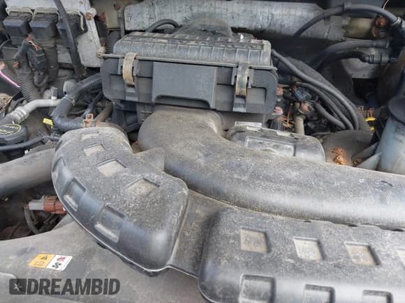 ✅ 2008 Ford F-150 XLT • VIN: 1FTPX145X8FA14471 • Лот: 42833215. Опубликован ранее на IAAI с пробегом 199 381 миль. Бесплатный доступ к архиву аукционных продаж из США и подробный отчёт об истории автомобиля на DreamBid. Изображение 10.