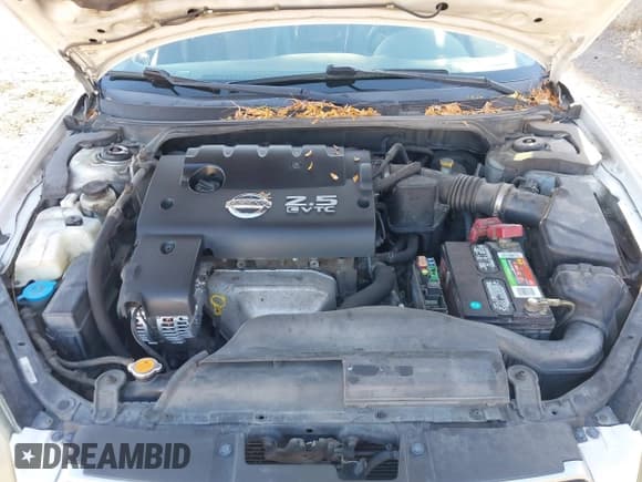 ✅ 2005 Nissan Altima 2.5 • VIN: 1N4AL11D25C317857 • Lot: 43826727. Wystawiony na IAAI z przebiegiem 174 092 mil. Bezpłatny archiwum sprzedaży aukcyjnych z USA i szczegółowy raport historii pojazdu na DreamBid. Zdjęcie 10.