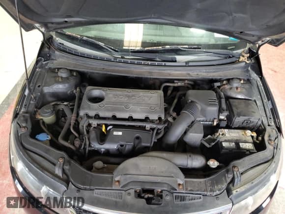 ✅ 2013 Kia Forte EX • VIN: KNAFU4A26D5703811 • Lot: 92667955. Wystawiony na Copart z przebiegiem 184 430 mil. Bezpłatny archiwum sprzedaży aukcyjnych z USA i szczegółowy raport historii pojazdu na DreamBid. Zdjęcie 11.