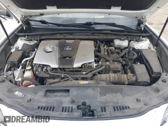 ✅ 2019 Lexus ES 300h Luxury • VIN: JTHB21B18K2004091 • Лот: 43337023. Опубликован ранее на IAAI с пробегом 144 634 миль. Бесплатный доступ к архиву аукционных продаж из США и подробный отчёт об истории автомобиля на DreamBid. Изображение 10.