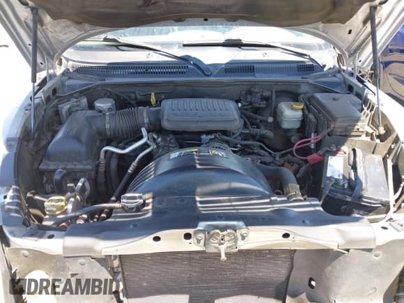 ✅ 2005 Dodge Dakota ST • VIN: 1D7HE28K15S288148 • Lot: 42883541. Wystawiony na IAAI z przebiegiem 259 379 mil. Bezpłatny archiwum sprzedaży aukcyjnych z USA i szczegółowy raport historii pojazdu na DreamBid. Zdjęcie 10.