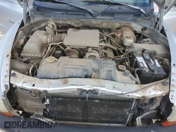 2002 Dodge Dakota Sport z VIN 1B7HG38N02S691280, wystawiony jako Copart lot #66309924 z przebiegiem 227 327 mil mil oraz Czysty tytuł • Clean title. Historia ofert i sprzedaży dostępna na DreamBid. Obrazek 11.