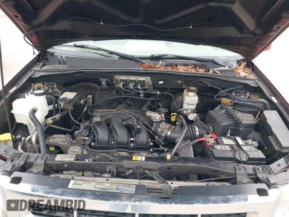 ✅ 2008 Ford Escape Limited • VIN: 1FMCU94178KE52807 • Lot: 42345083. Listed on IAAI with 193,672 mi. Free auction sales archive from the USA and detailed vehicle history report at DreamBid. Image 10.