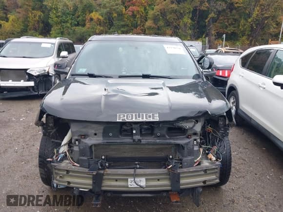 ✅ 2018 Ford Police Interceptor Utility • VIN: 1FM5K8AR2JGA32724 • Lot: 43370370. Wystawiony na IAAI z przebiegiem 132 869 mil. Bezpłatny archiwum sprzedaży aukcyjnych z USA i szczegółowy raport historii pojazdu na DreamBid. Zdjęcie 12.