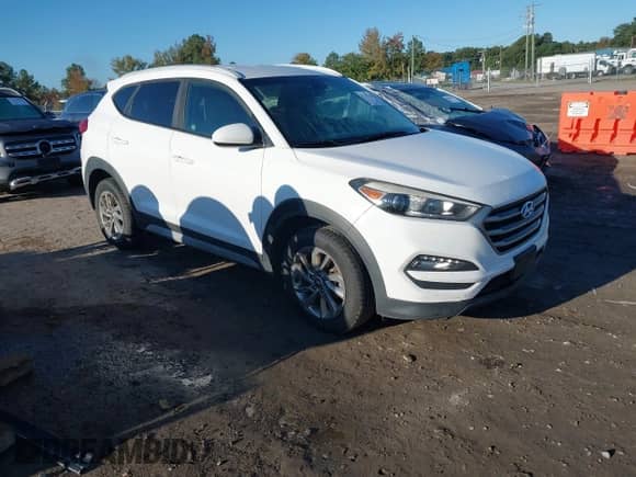 2018 Hyundai Tucson SEL z VIN KM8J33A49JU655522, wystawiony jako IAAI lot #43413954 z przebiegiem 244 419 mil mil oraz . Historia ofert i sprzedaży dostępna na DreamBid. Obrazek 1.