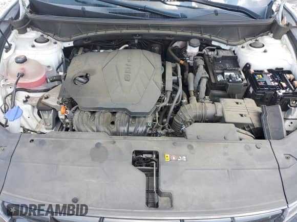 2022 Hyundai Tucson SEL z VIN 5NMJBCAE7NH158202, wystawiony jako Copart lot #68732365 z przebiegiem 43 605 mil mil oraz Szkoda całkowita • Salvage title. Historia ofert i sprzedaży dostępna na DreamBid. Obrazek 12.