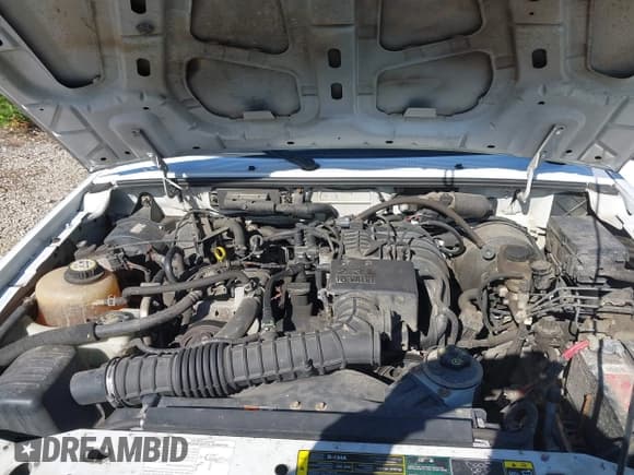 ✅ 2006 Ford Ranger XL • VIN: 1FTYR10D86PA83422 • Lot: 43544747. Listed on IAAI with 132,250 mi. Free auction sales archive from the USA and detailed vehicle history report at DreamBid. Image 10.