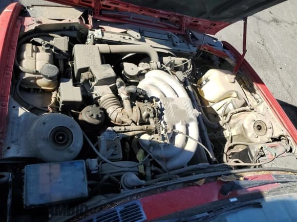 ✅ 1989 BMW 3 Series • VIN: WBABB2302K8863586 • Лот: 87761755. Опубликован ранее на Copart с пробегом 183 356 миль. Бесплатный доступ к архиву аукционных продаж из США и подробный отчёт об истории автомобиля на DreamBid. Изображение 11.